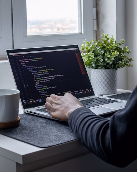 Web development